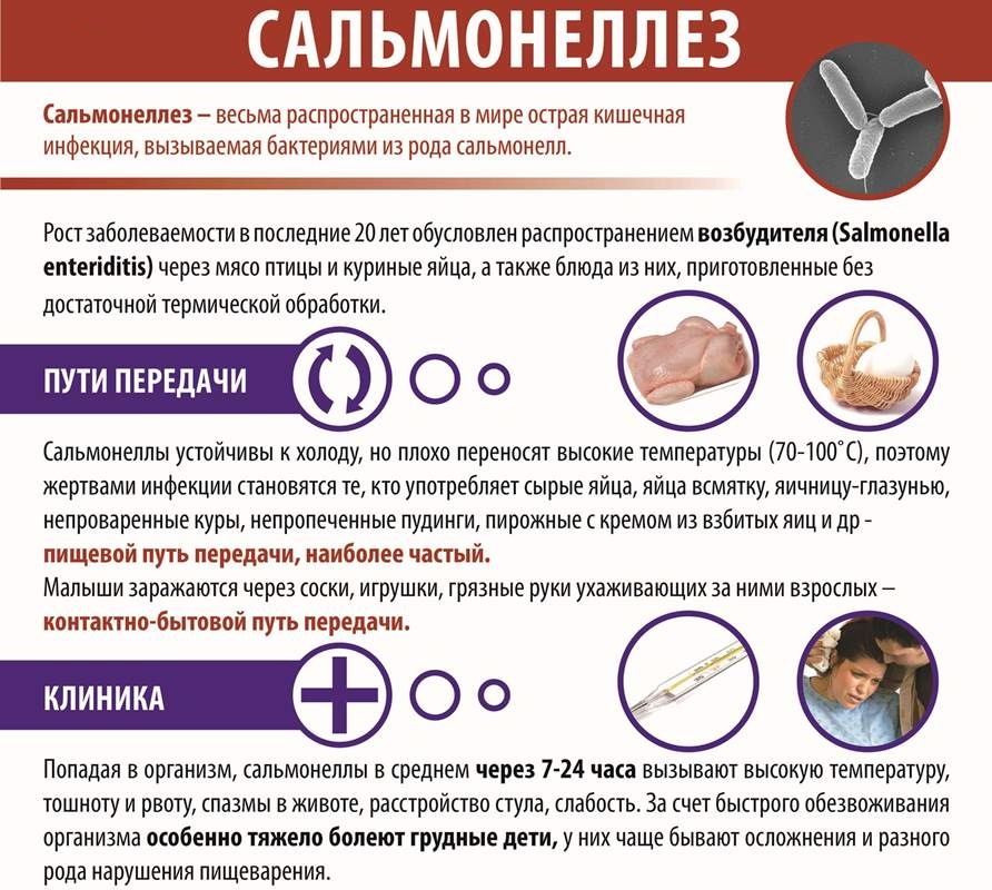 Стул при сальмонеллезе 38 характерный сальмонеллезе гастроэнтероколитической форме имеет вид